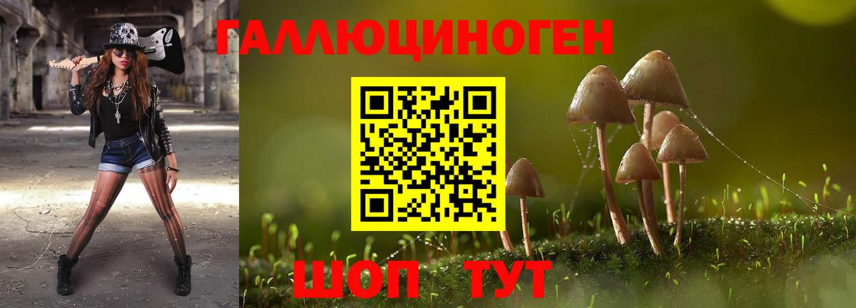Галлюциногенные грибы Cubensis  Псилоцибиновые грибы MAGIC MUSHROOMS  даркнет сайт  Знаменск  Вход с VPN 